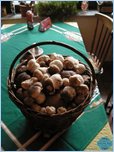 [Kliknut�m obr�zek zv�t��te]