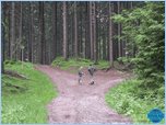 [Kliknut�m obr�zek zv�t��te]